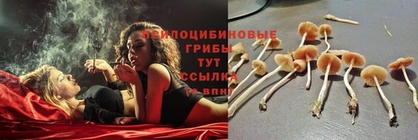 PSILOCYBIN Зеленокумск